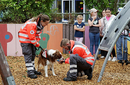 Die Rettungshundestaffel zeigt den Juniorhelfern, wie die Flächensuche funktioniert. Foto: Miersch / DRK
